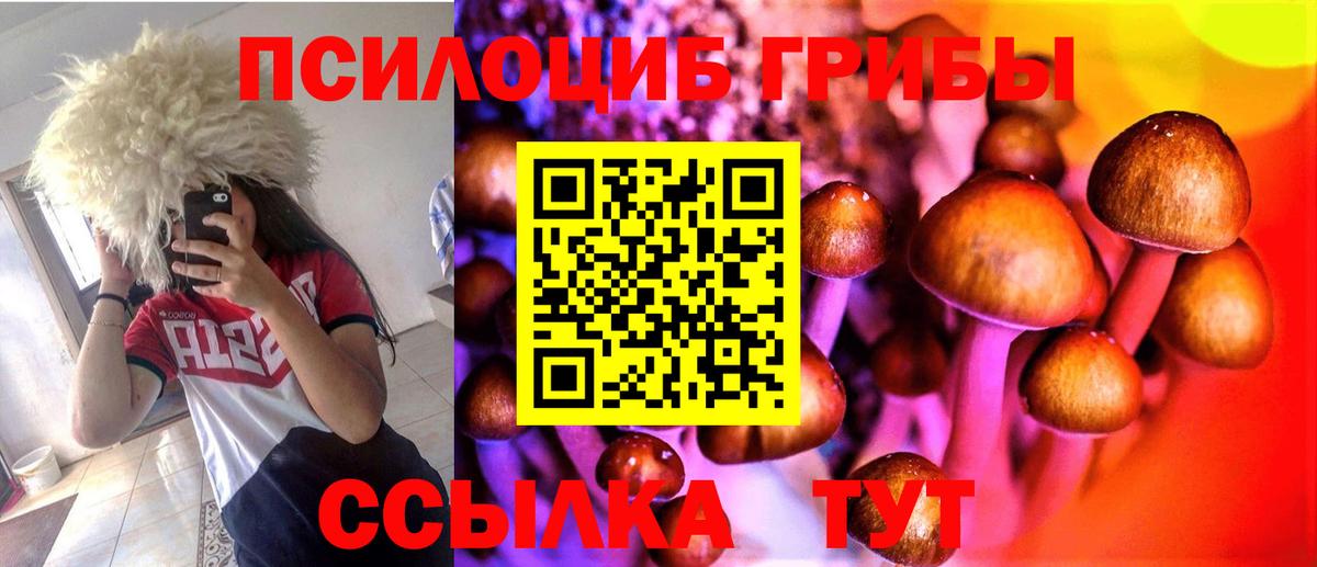 Псилоцибиновые грибы Cubensis Черногорск
